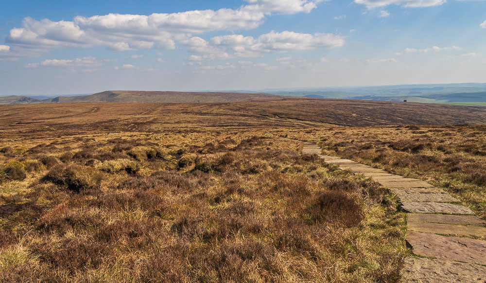 Brown Knoll Brown Knoll